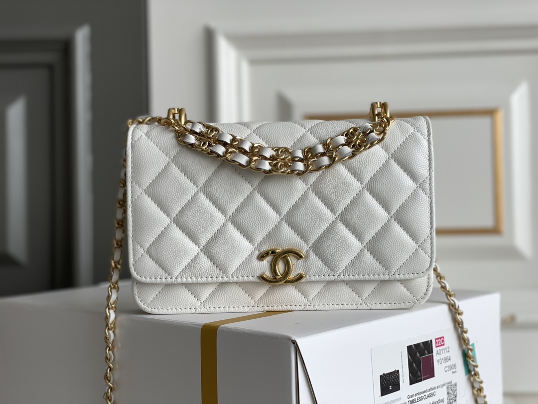 Chanel WOC Bags